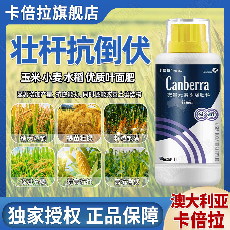 抗倒伏倍拉液体锌肥硅肥抗病防裂增加硬度增甜度早上市强茎壮杆卡