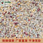 枭龙鸽子种鸽营养50斤赛鸽信鸽鸟食营养鸽粮食饲料