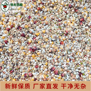 枭龙鸽粮种鸽营养50斤赛鸽信鸽鸟食营养鸽子食饲料