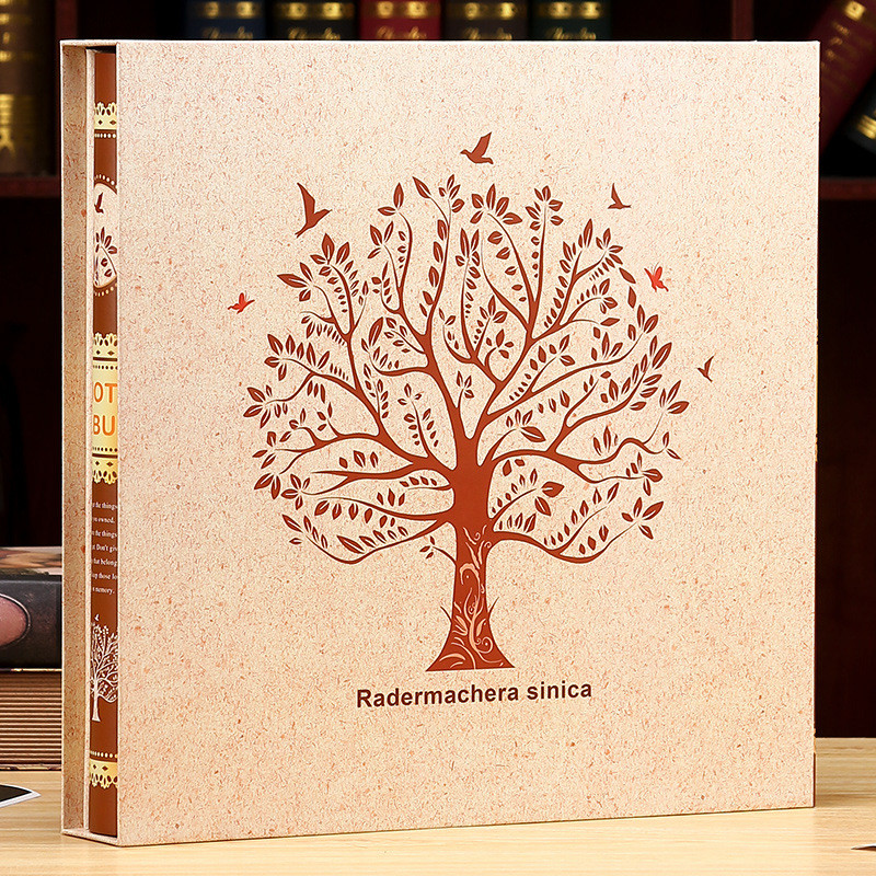 5寸6寸858张相册本纪念册插页式大容量家庭版影集7寸8寸成长记录