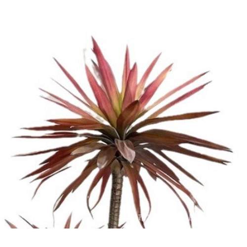 外贸仿真铁兰盆景大型兰草落地仿真装饰摆件剑兰仿真绿植盆栽