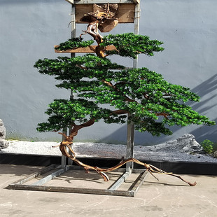 热销中国风罗汉松松树倒挂悬挂假松树迎客松酒店大堂装饰摆件仿真