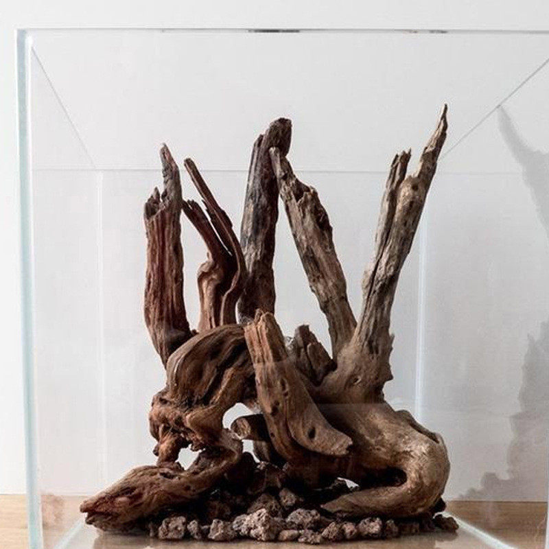 杜鹃根析木鱼缸乌龟缸迷你装饰树枝析木景观森林小沉木,宠物/宠物食品及用品,造景/装饰,淘宝优惠券,粉丝福利购,淘宝优惠卷