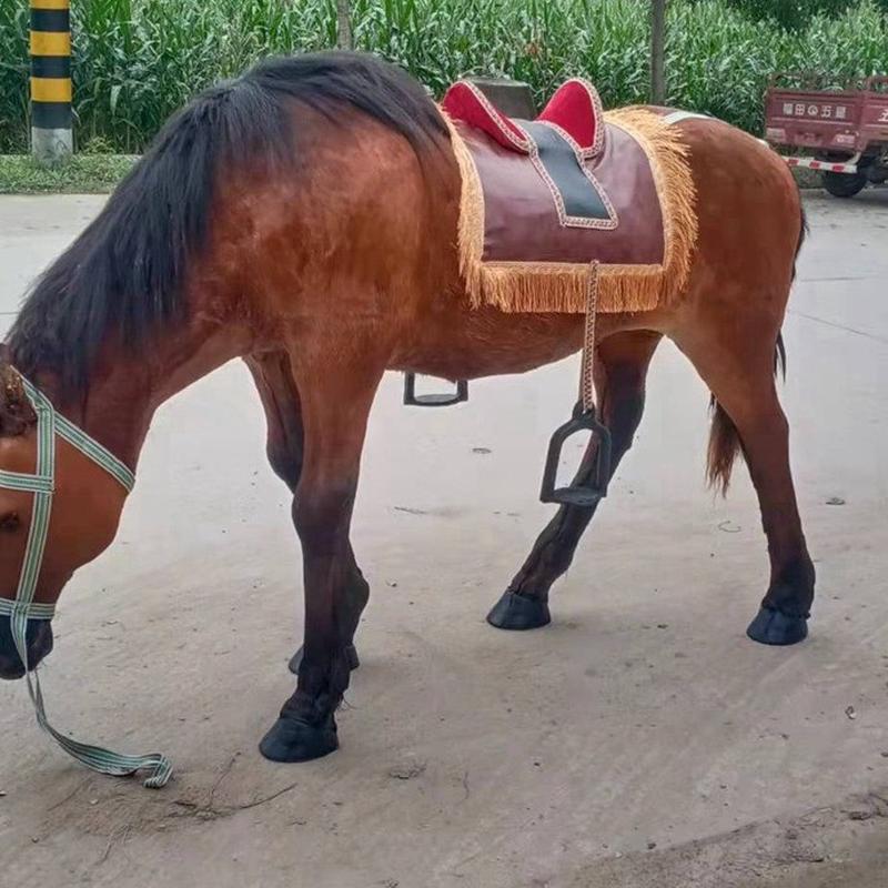 仿真动物大型马模型仿真马模型毛动物仿真大型马摆件