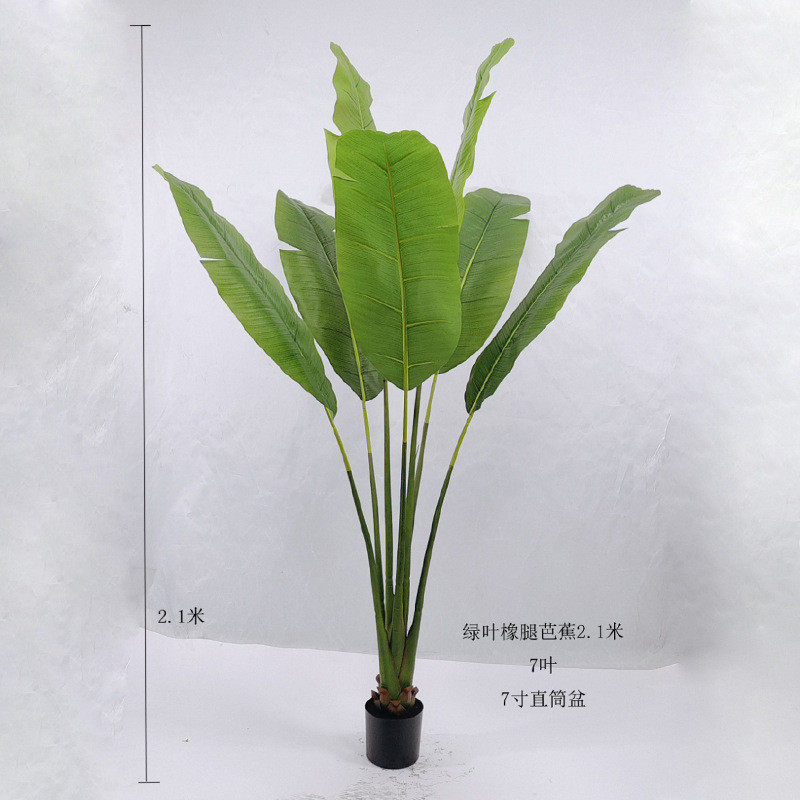 仿真式芭蕉树盆栽东南亚餐厅装饰孔雀开屏大型芭蕉树摄影道具装饰