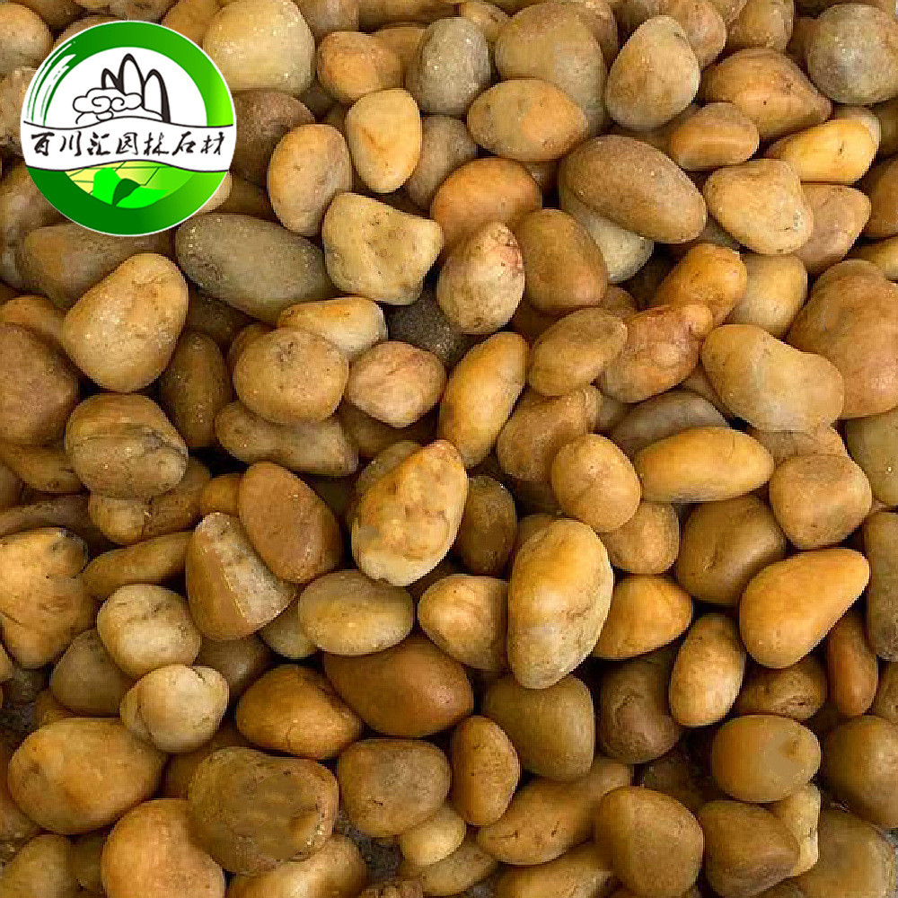 装饰高亮度黄色雨花石黄色鹅卵抛光雨花石铺路厂家直销石彩色石子