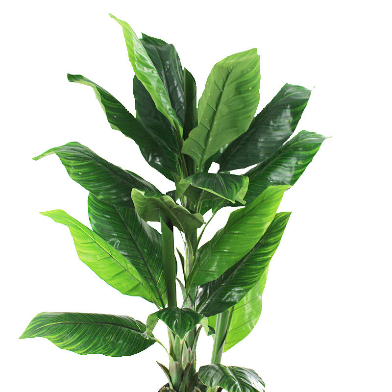 仿真植物盆栽美人焦叶热带芭蕉蕉叶树叶室内旅人植物葵叶装饰批发
