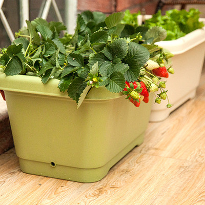 美花盆棵菜盆阳台花园庭院蔬菜种植长方形塑料自灌溉乐大花盆