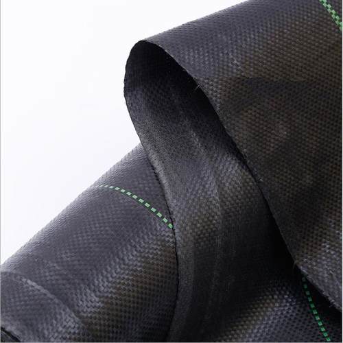 布钉农用透气草耐用地膜大棚除草防草布遮盖果树果园保湿园艺地布