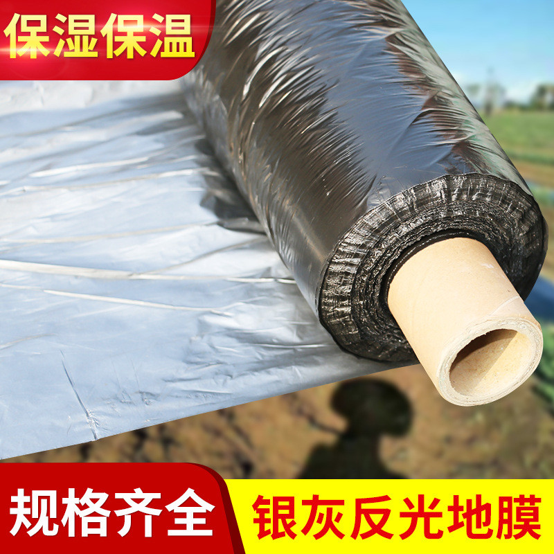 大棚专用多功能银灰色双面复合地膜 农用银灰两面反光塑料薄膜