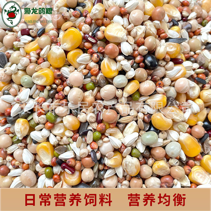 枭龙鸽粮标准营养50斤赛鸽信鸽营养小鸟观赏鸽饲料鸽子食