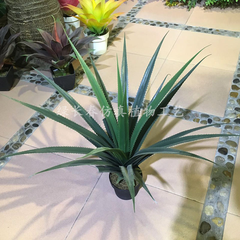 厂家仿真盆栽绿植剑麻剑兰龙舌兰一帆风顺园林造景绿植假树装饰
