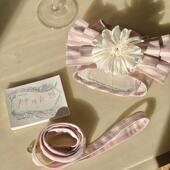 ins新款 泰迪比熊犬狗狗牵引绳遛狗绳pet 可爱心型外出透气胸背套装