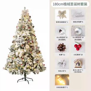 2.1米仿真商场橱窗家用摆件发光圣诞树装 新款 1.8 圣诞套装 饰 1.5