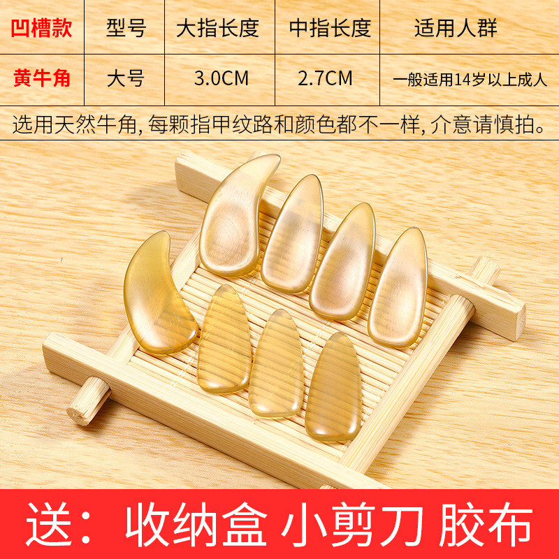 古筝指甲凹槽演奏级天然牛角儿童初学者小号中号幼儿薄款专业专用