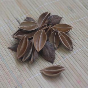 小梧桐壳桐果原材料木莲花梧桐果泡天然干花手工拈花材料批发