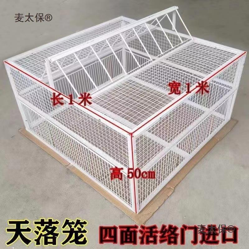 笼只自动户外楼顶天落撞门补野抓进不出鸽子捕鸽收鸽子笼柯咖童