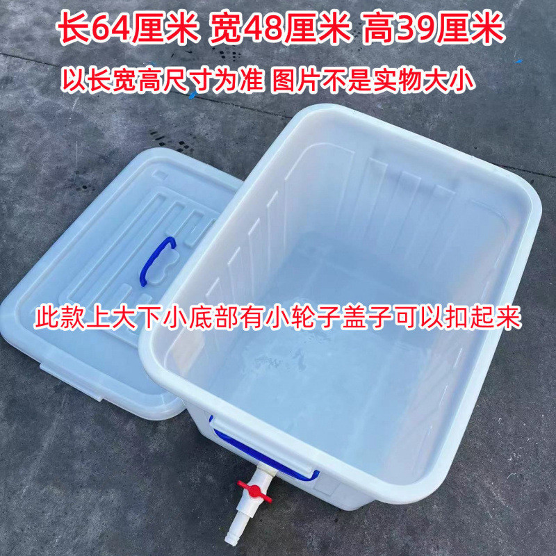 鱼桶箱养养龟塑料水箱开透气孔白色胶大号带盖排水水产养殖周转箱