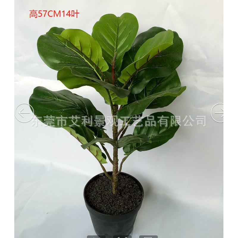 大型植物琴叶榕 橡皮树旅人蕉芭蕉树盆栽 假树绿植盆景
