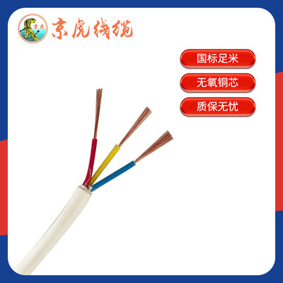 rvv白护套电线电源线rvv灯家装电线电线线