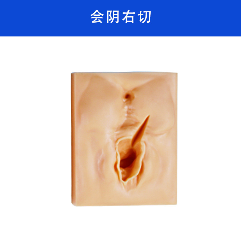 高级模型缝合练习模型会阴切口缝合练习外阴外阴切开缝合模型