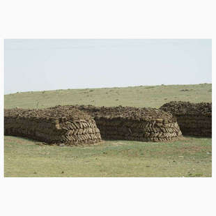 内蒙古羊粪球羊粪发酵肥料果蔬绿植土壤增肥腐熟发酵纯生物有机肥