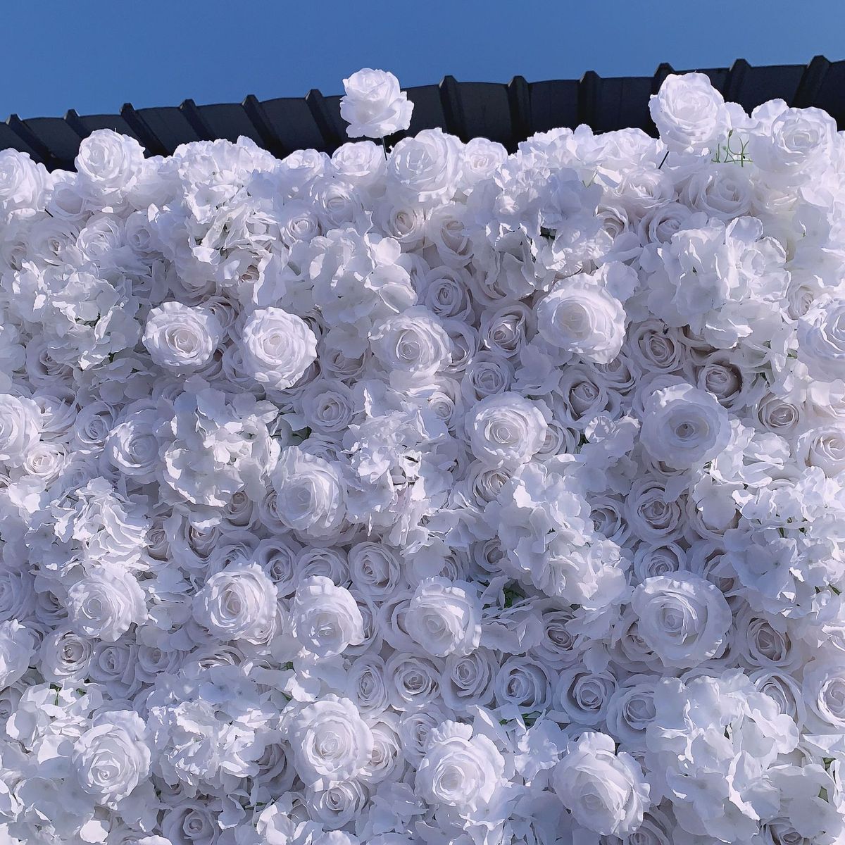 花墙布底仿真仿真玫瑰花朵绿植花艺背景墙婚庆花墙装饰白色