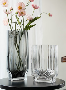 扁玻璃花瓶ins风高颜值客厅餐厅容器插花摆件水培玻璃器皿高级感