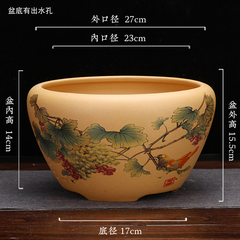 宜兴紫砂花盆绿植兰花盆刻绘点彩君子兰绿萝吊兰春兰花卉水洗批发