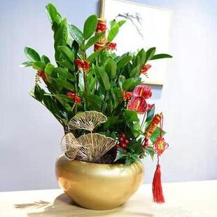 热销新年福桶福盆花桶银柳年宵花插花花盆花器金属金色铁艺抱抱桶