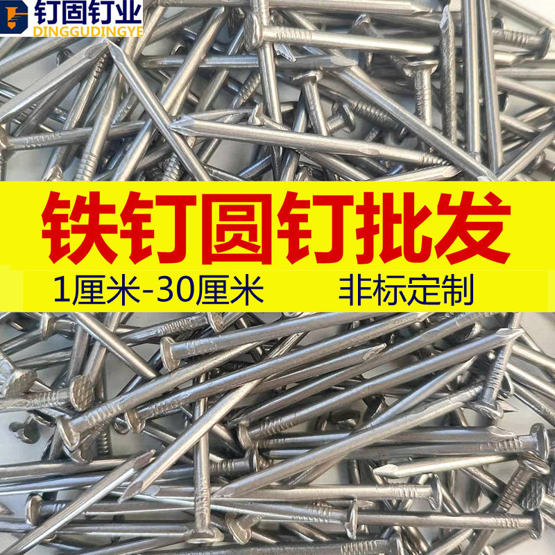 钉子大铁钉圆钢钉建筑钉洋钉小钉子1寸2寸2.5寸3寸4寸5寸7寸8寸9