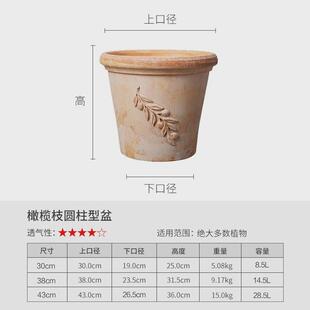 帝罗马橄榄枝花盆长条/方型盆庭院种植盆陶盆简约花盆透水透气