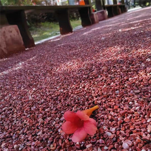 厂家供应砾石水磨石子胶粘石石子五彩石园林铺路石子水族彩石
