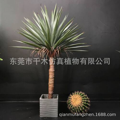 仿真剑麻剑兰北欧龙舌兰盆栽室内装饰摆设盆景批发厂家直销