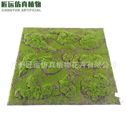 造景微景观植物青苔仿生人造假青苔青绿色苔藓草皮石盆景植绒户外