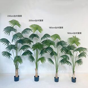客厅落地热带加州蒲葵仿真绿植盆栽仿真圆叶扇葵树绿植摆件