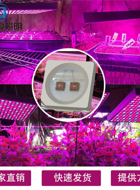 供应3030植物灯珠0.5w3030贴片灯珠660-665nmled红光发光二极管