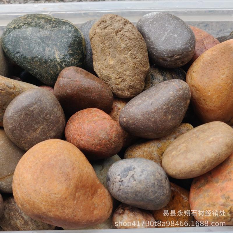 鹅卵石、彩色河卵石圆滑凸起面乡村石造景石售楼处水景树坑