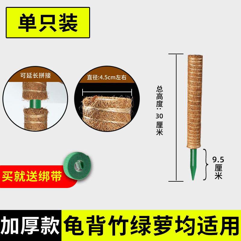 椰丝棒绿箩固定架架支撑杆棕榈植物爬藤花椰棕绿萝攀爬柱柱龟背竹