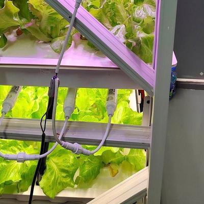 种菜机水培无土栽培蔬菜设备室内蔬菜设备种植机多层种植架定制