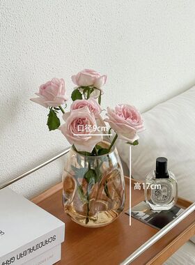 感不规则花瓶玻璃透明水培插花玫瑰百合客厅艺术摆件餐桌网红