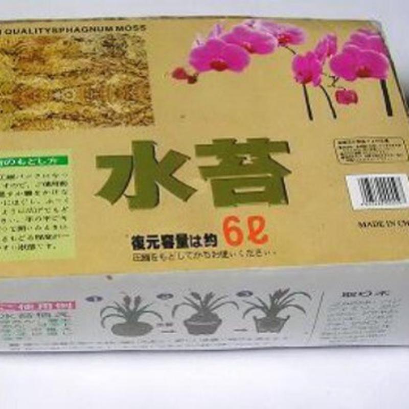 热销aaaa10公斤水苔水草无土栽培宠物蝴蝶兰苔藓兰蓝莓石斛