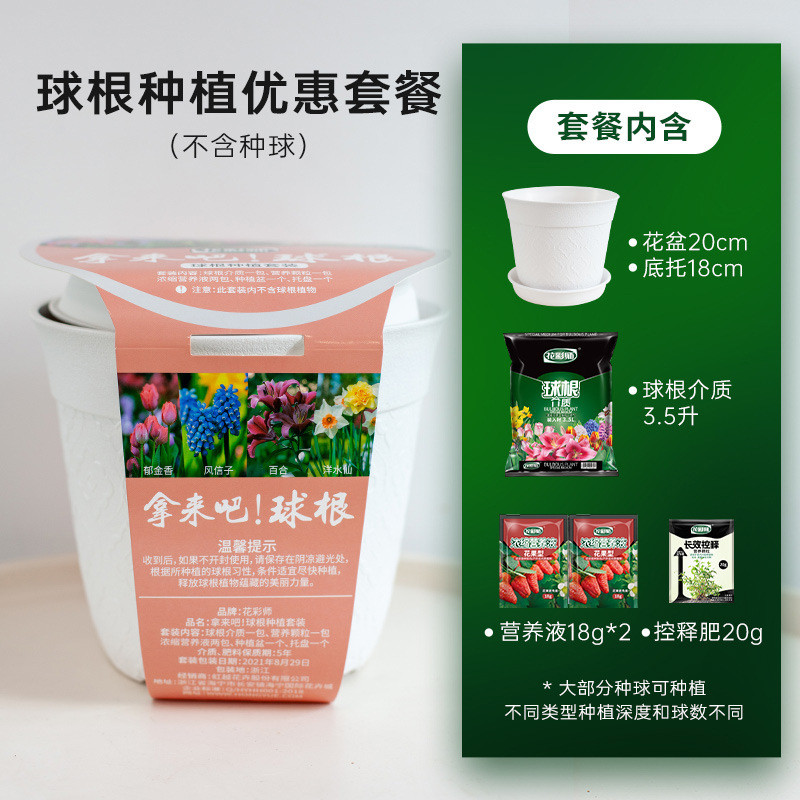 虹越花卉花盆师系列球根种植套装园艺懒人包营养土花彩营养液工具