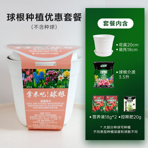 虹越花卉花彩师系列球根种植套装园艺工具包营养土花盆营养液懒人