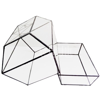 16054a包邮!工厂直销几何玻璃花房花房微景观玻璃花房玻璃小多肉