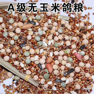 幼鸽无玉米鸽粮鸽子料鸟食饲料营养鸽粮信鸽赛鸽鸽粮观赏鸽粮包邮