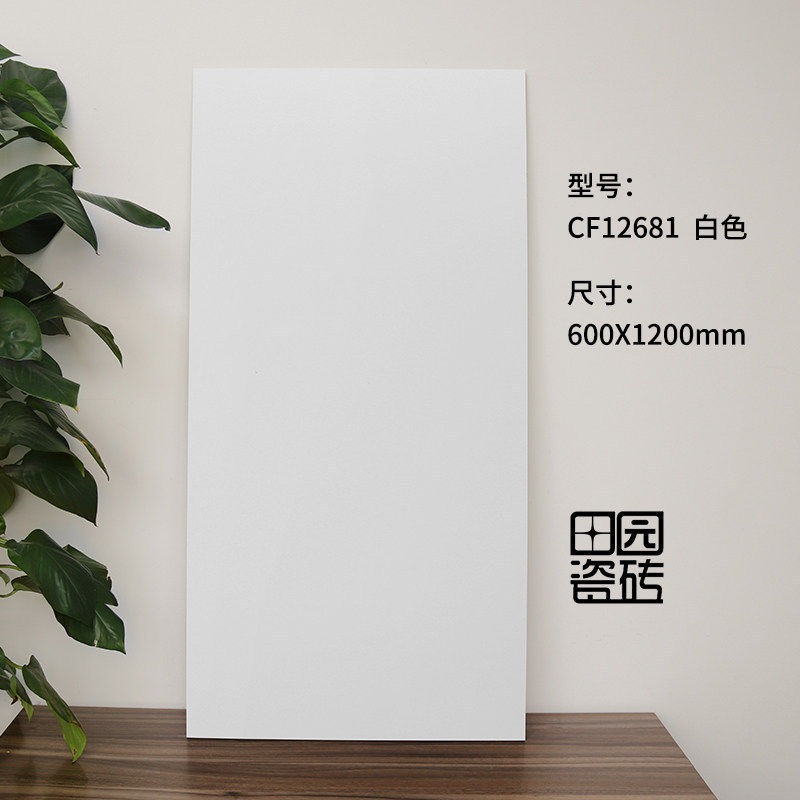 北欧简约灰色防滑瓷砖600x1200地板砖白灰全瓷纯色仿古砖黑