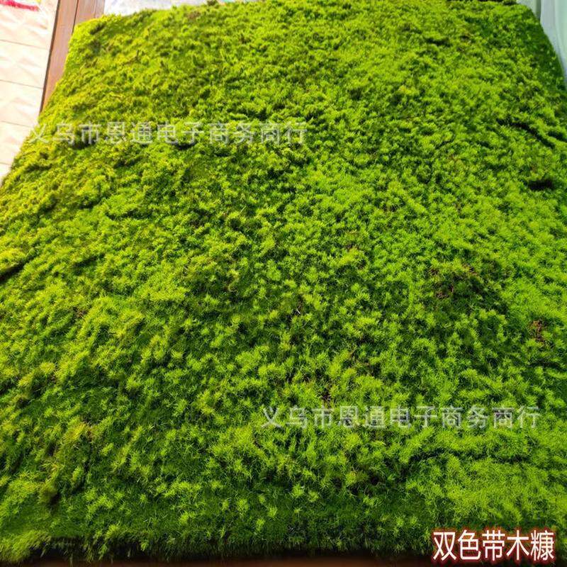 仿真绿植墙青苔草坪苔藓草坪盆景场景橱窗假苔藓软装系列森林装饰