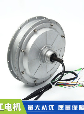 热销154系列46-60v250-400w大功率电机辐条批发