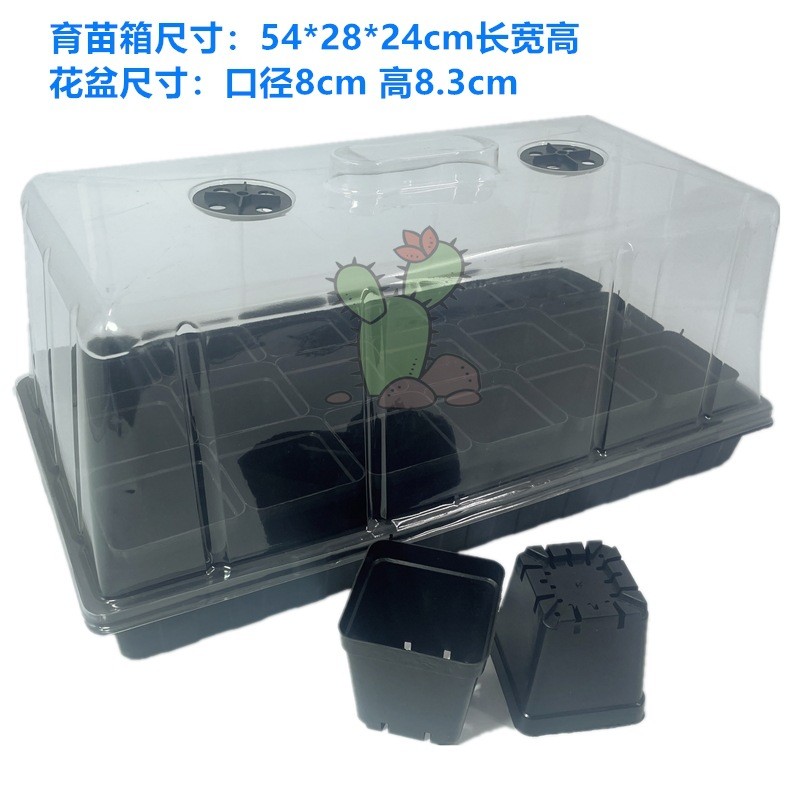 加高育苗盒三件套扦插子带盖出芽多肉闷养保温播种盘保湿育苗盘箱